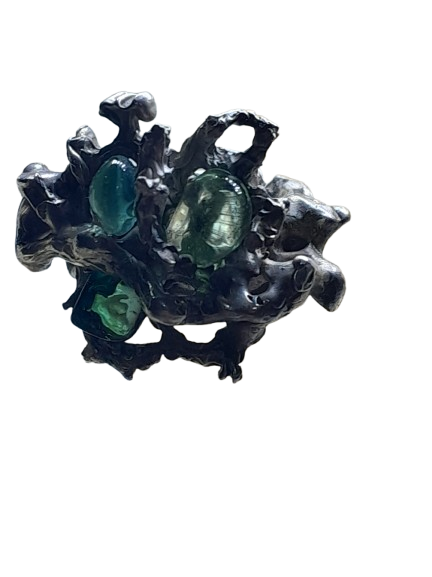 20250108_144254-min-removebg-preview