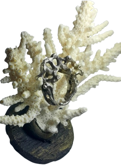 Screenshot_20250108_145439_Photo_Editor-min-removebg-preview